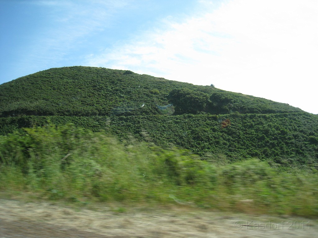 2011 Bay 2 Breakers Friday 0455.JPG - I was able to participate in the 100th annual running of the Bay to Breakers 12K race in San Francisco California. A weekend for sightseeing and racing.